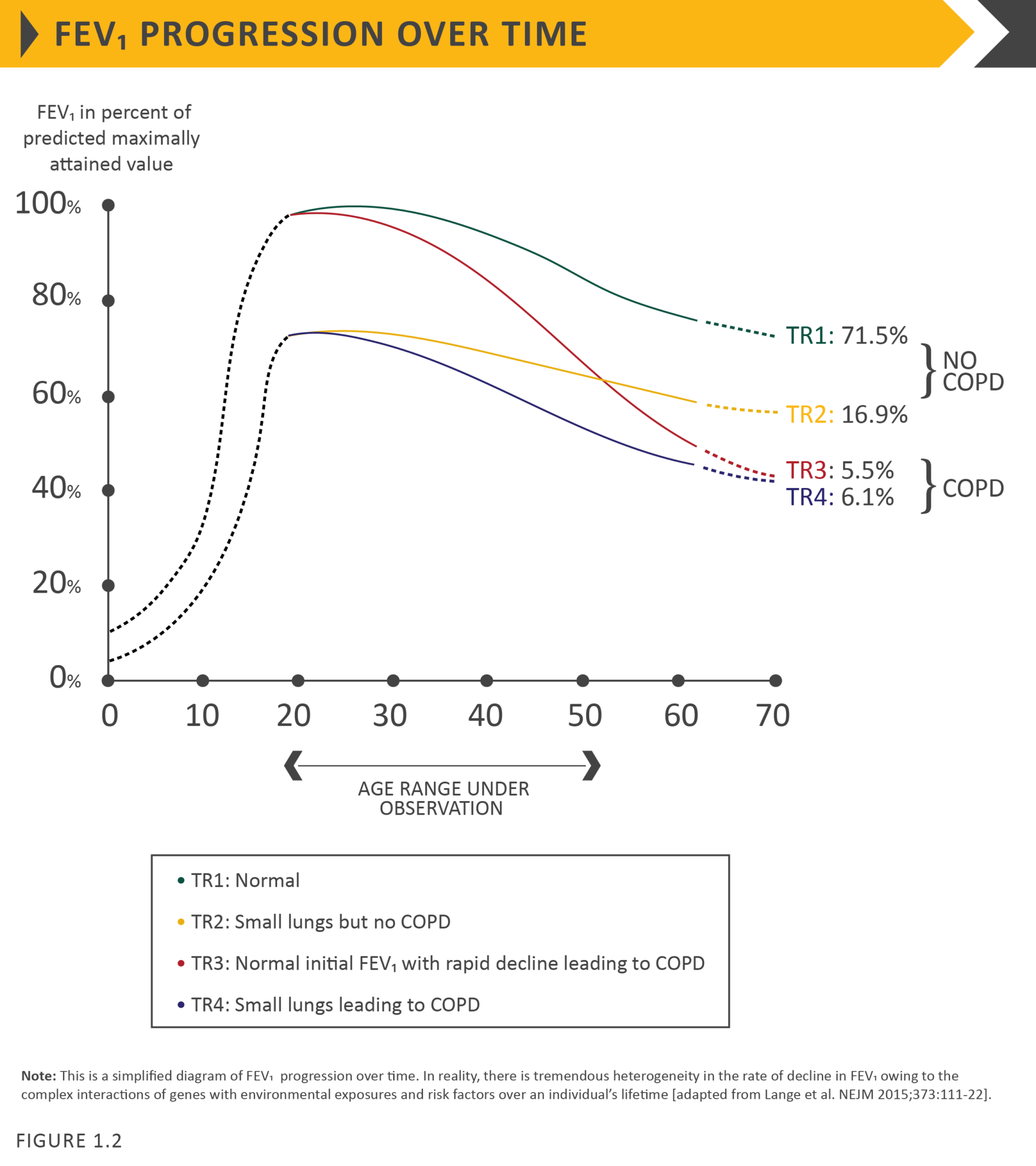 GOLD COPD 2021 Figure 1.201 Global Initiative for Chronic